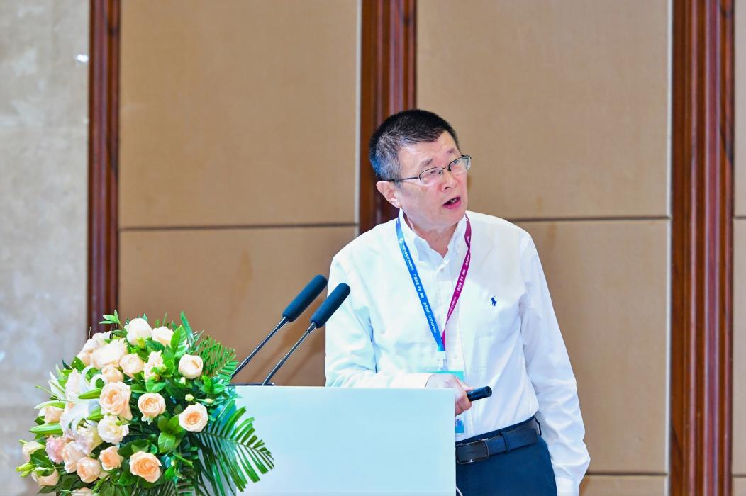 实验室主办的2024武汉耐火材料学术年会成功召开-先进耐火材料全国重点实验室(武汉)